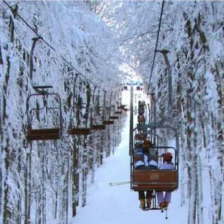 Podere San Ferdinando *