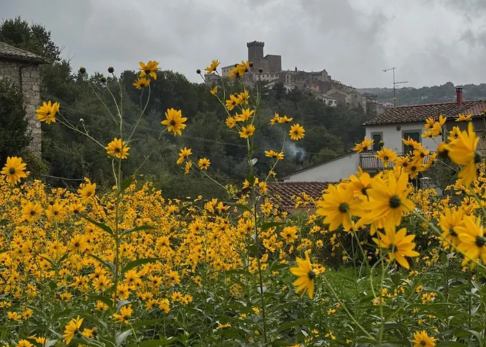 Podere San Ferdinando
