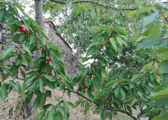 アパート Podere San Ferdinando